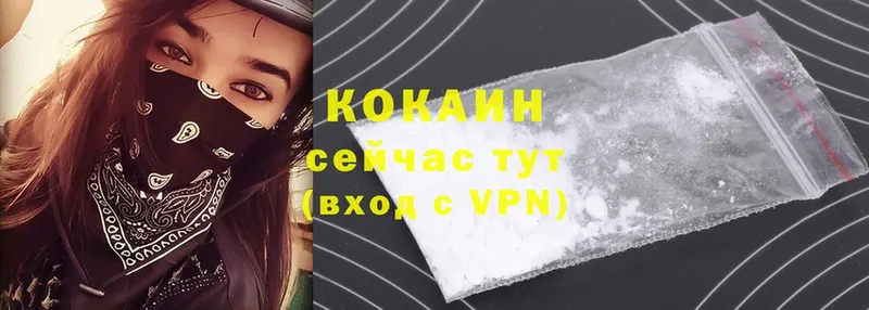 МЕГА ONION  Ставрополь  Cocaine FishScale  как найти  