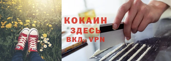 ГАЛЛЮЦИНОГЕННЫЕ ГРИБЫ Новодвинск