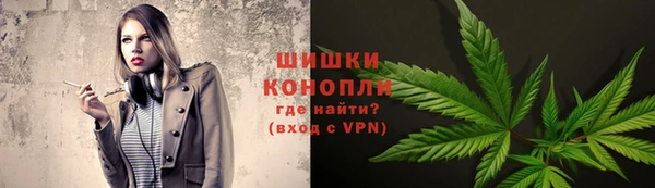 ГАЛЛЮЦИНОГЕННЫЕ ГРИБЫ Новодвинск