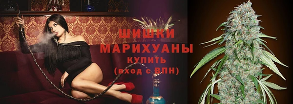 ГАЛЛЮЦИНОГЕННЫЕ ГРИБЫ Новодвинск