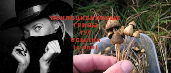 ГАЛЛЮЦИНОГЕННЫЕ ГРИБЫ Новодвинск