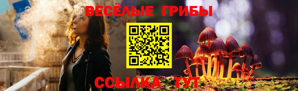 Ставрополь  Галлюциногенные грибы GOLDEN TEACHER  Галлюциногенные грибы Cubensis  Вход с VPN 