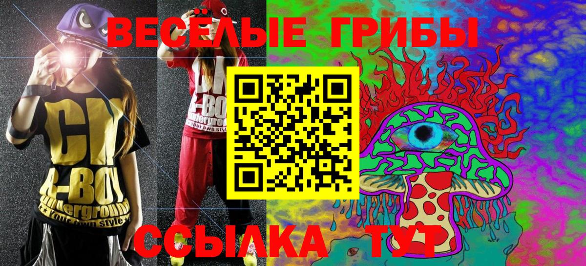 Псилоцибиновые грибы Magic Shrooms Ставрополь
